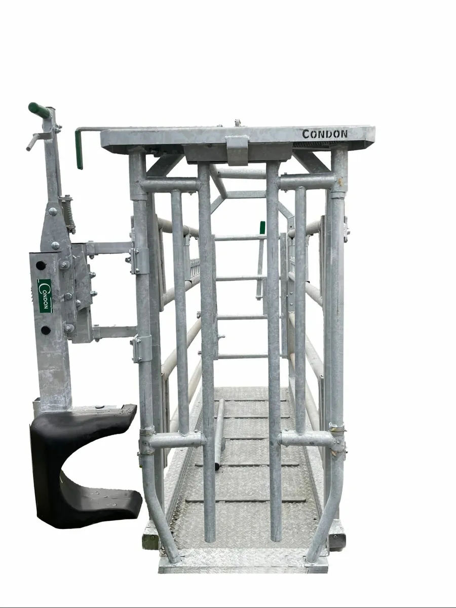 Cattle Weighing scale, repair any brand - Image 2