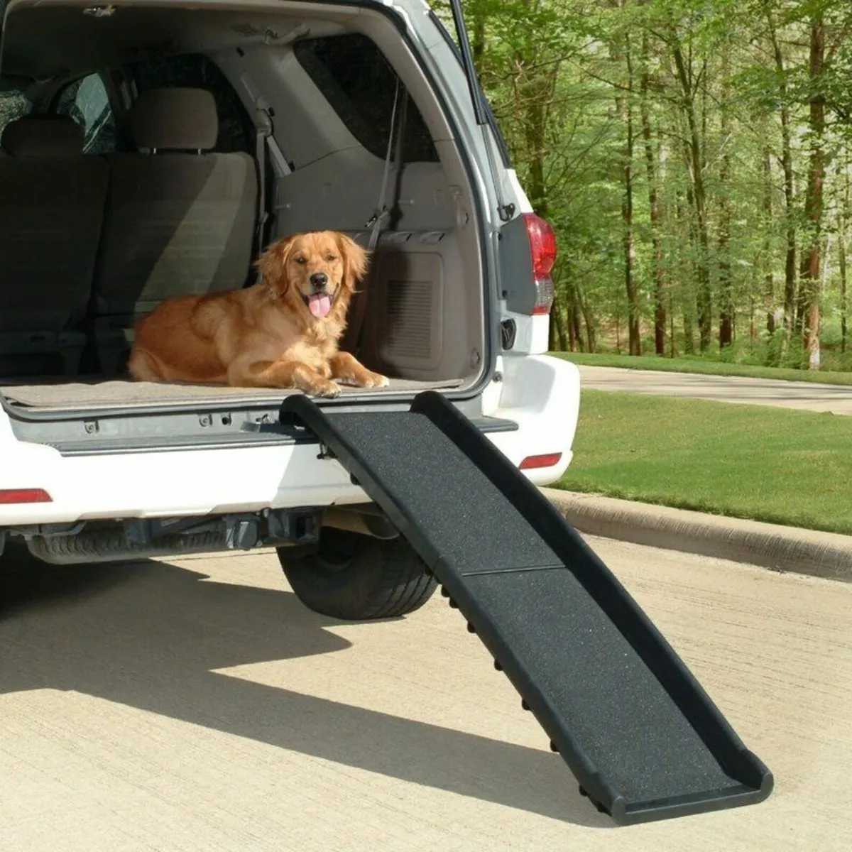 Dog Pet Ramp Plastic Folding Free Delivery - Image 1