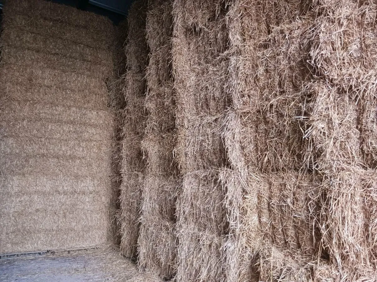 Hay, Straw, Silage for sale - Image 1
