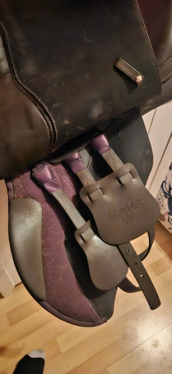 Wintec 17.5 inch saddle - Image 4