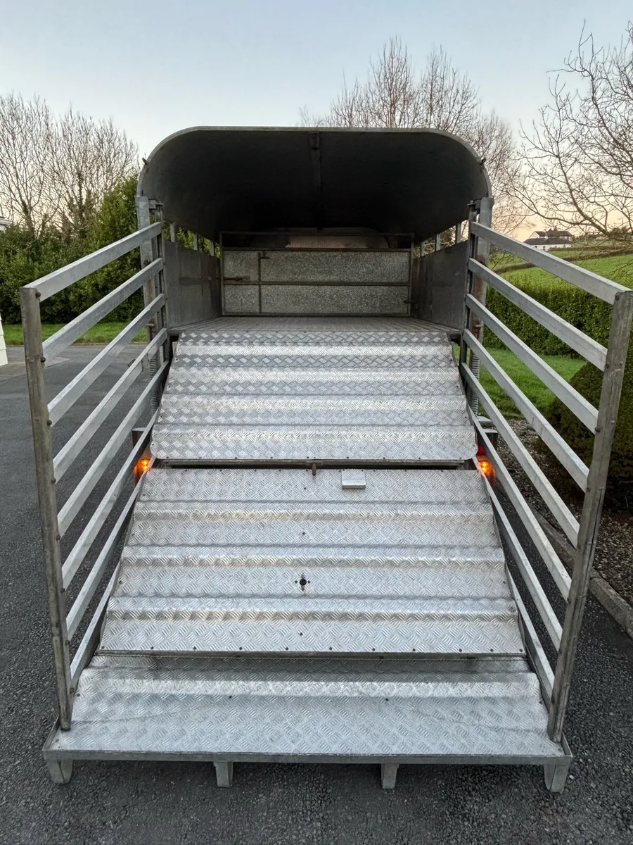 Graham Edawrds 12x6 cattle box - Image 4