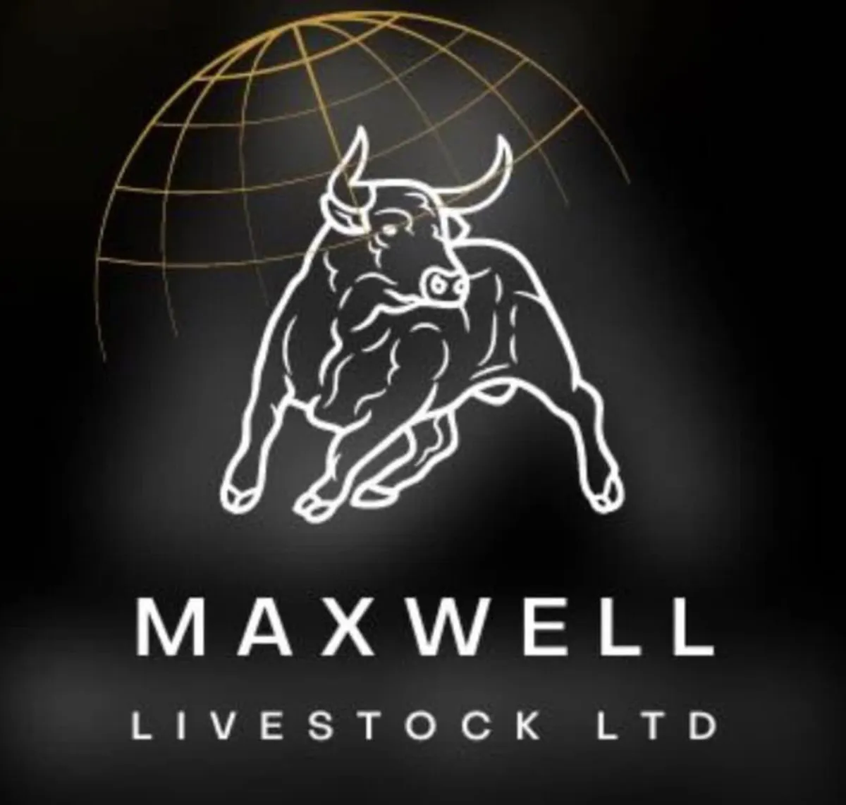 CATTLE REQUIRED FOR EXPORT - Image 1