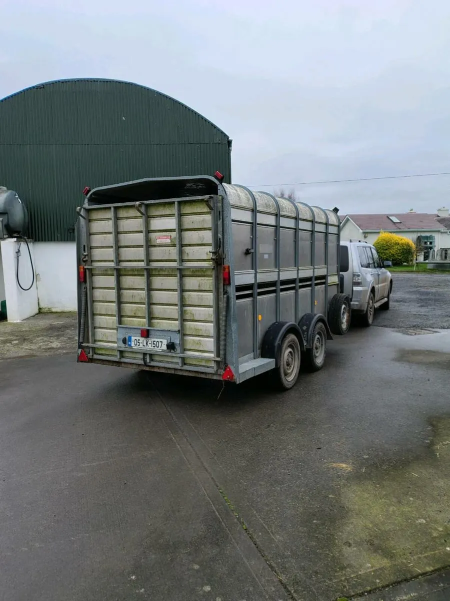 Ifor Williams Cattle trailer 12x6 - Image 2
