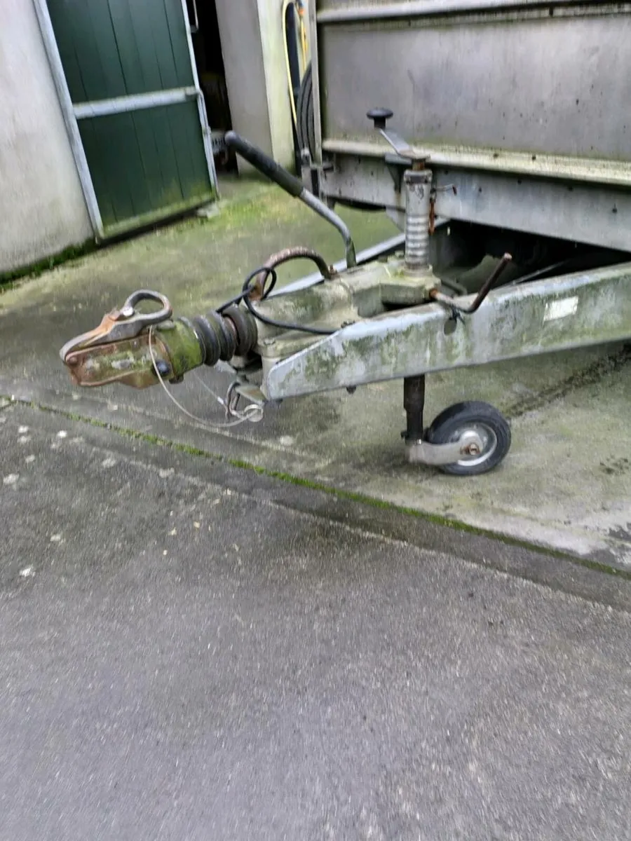 Ifor Williams Cattle trailer 12x6 - Image 4