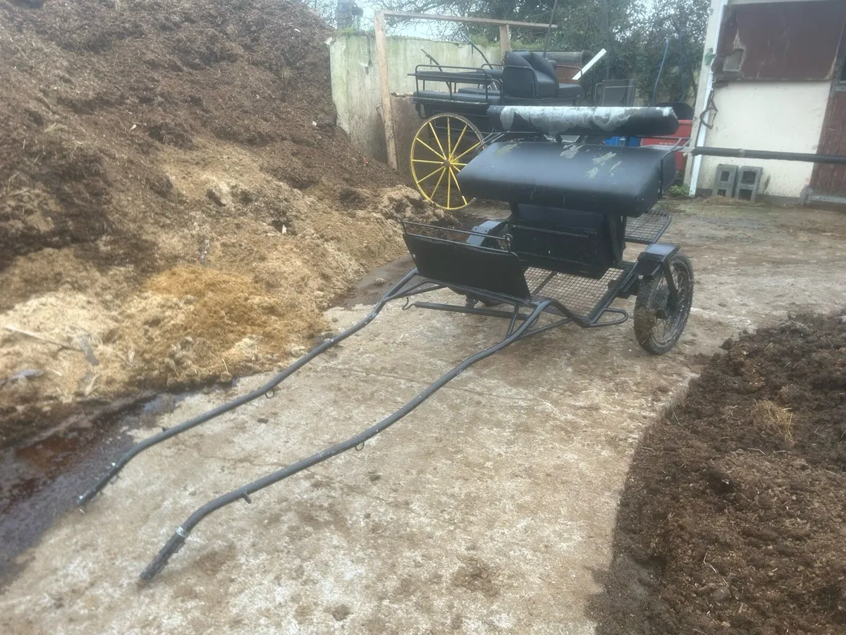 Full size Horse cart - Image 1