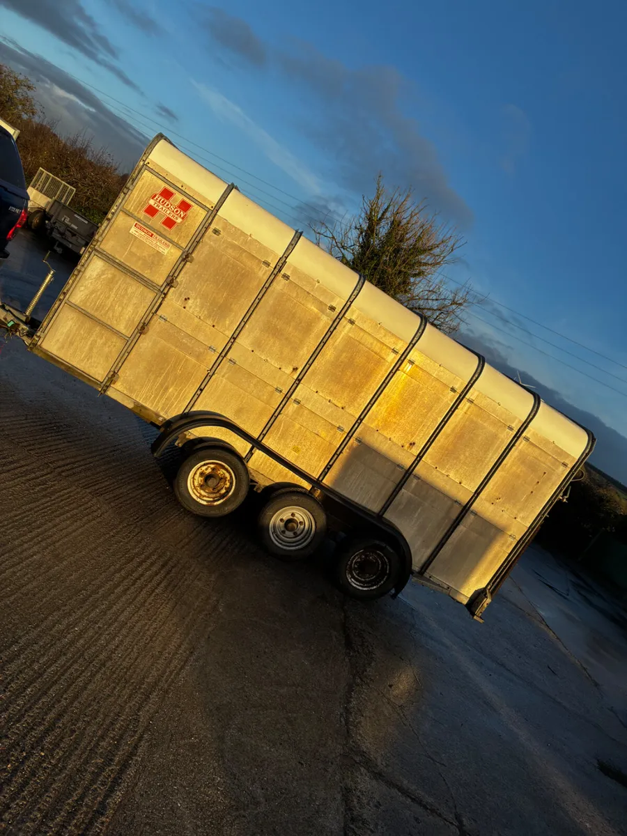 14ft Hudson livestock trailer - Image 3