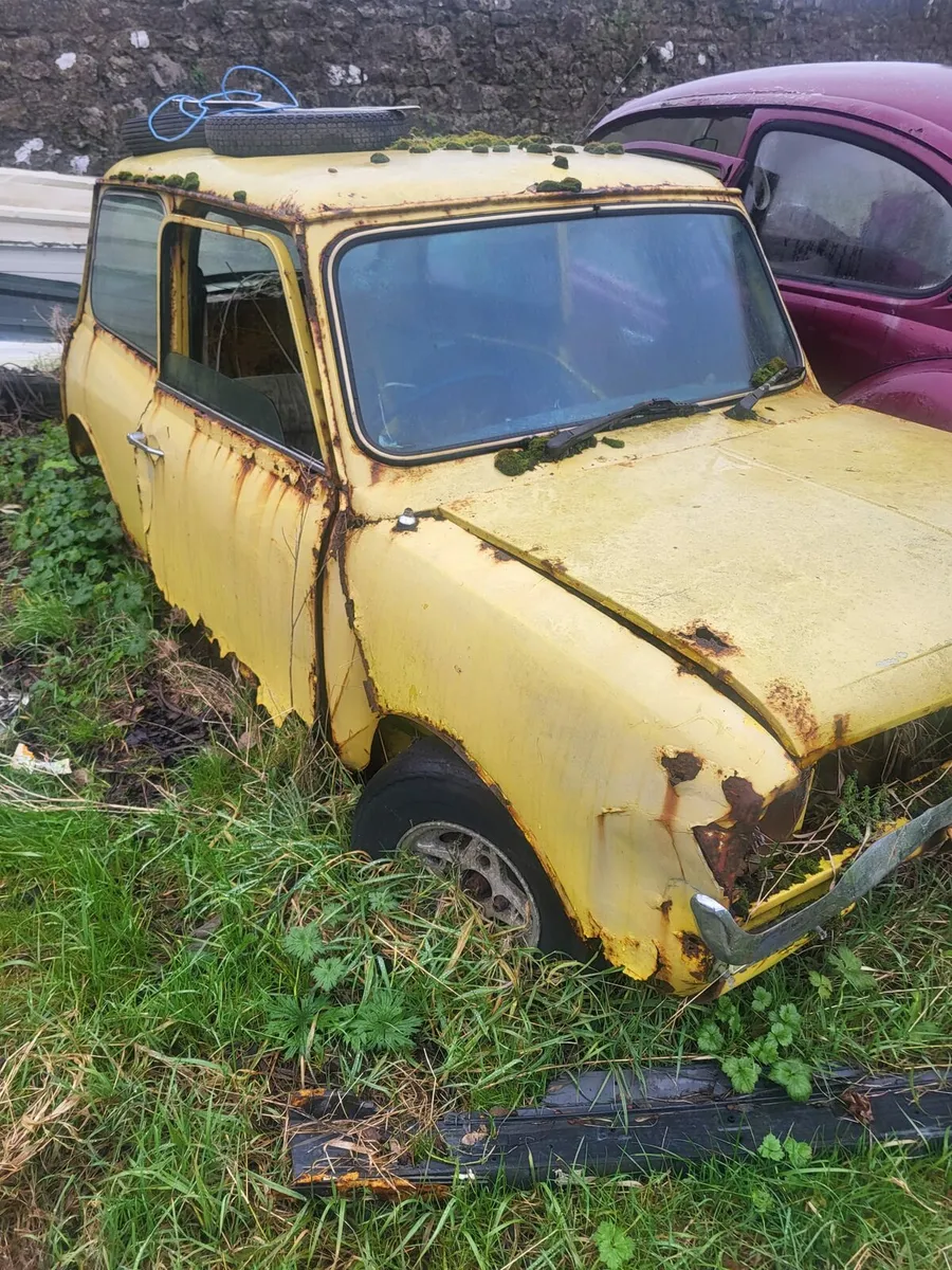 Field clear out all projects - Image 1