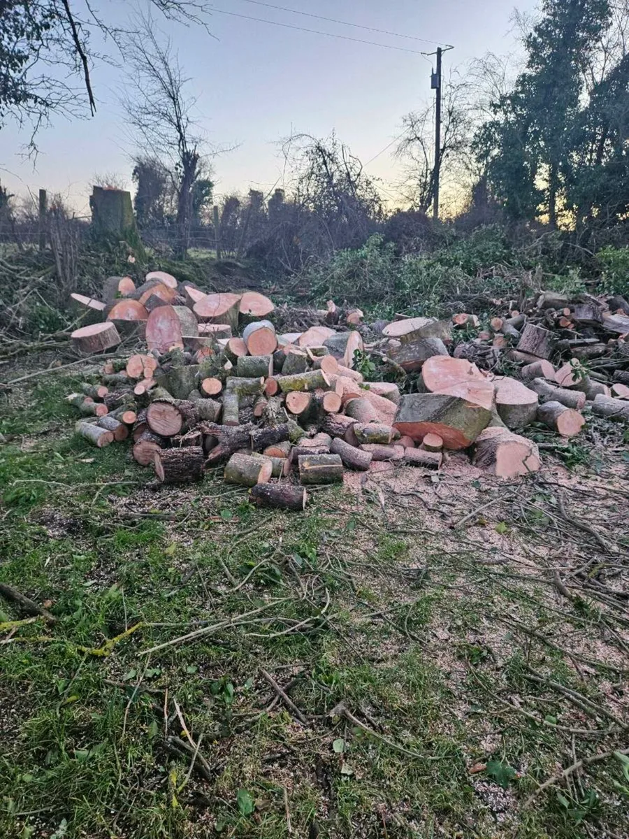 Log splitting service - Image 2