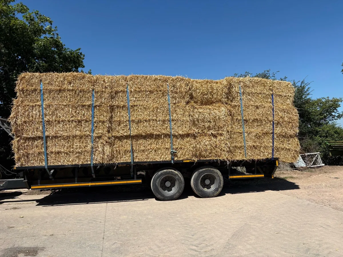 Barley/ Wheat straw - Image 1