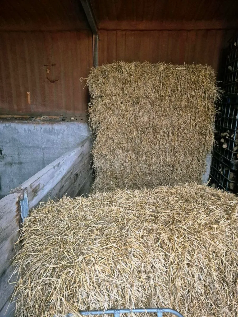 Straw for sale