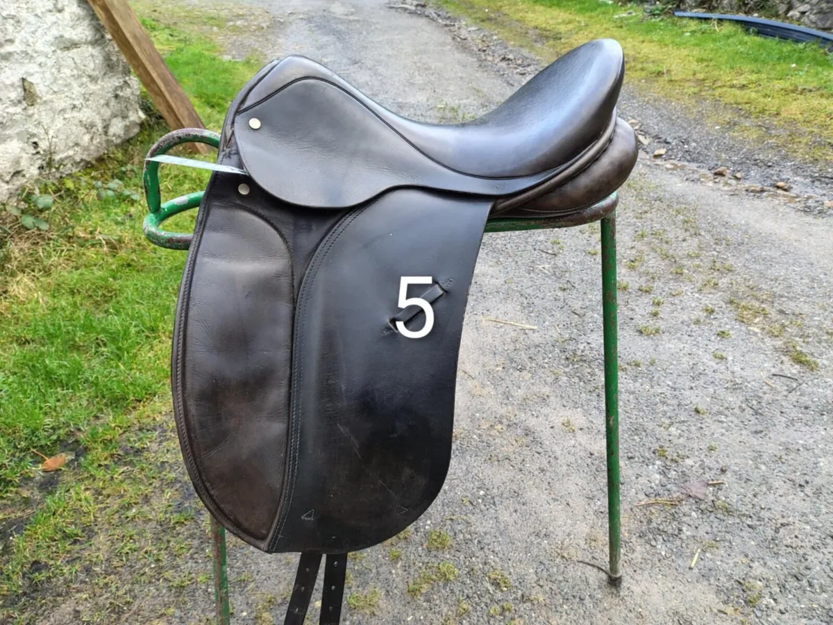 Saddle Clearance - Image 4