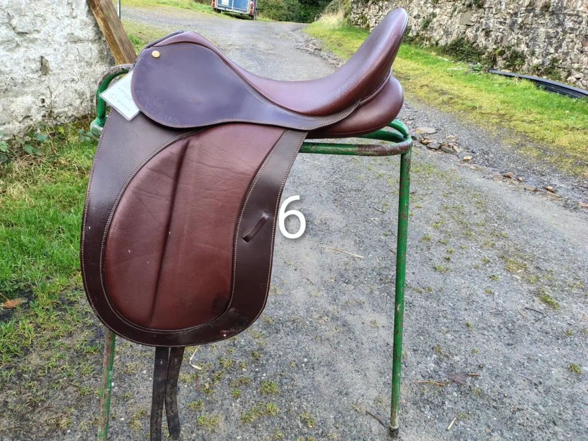 Saddle Clearance - Image 3
