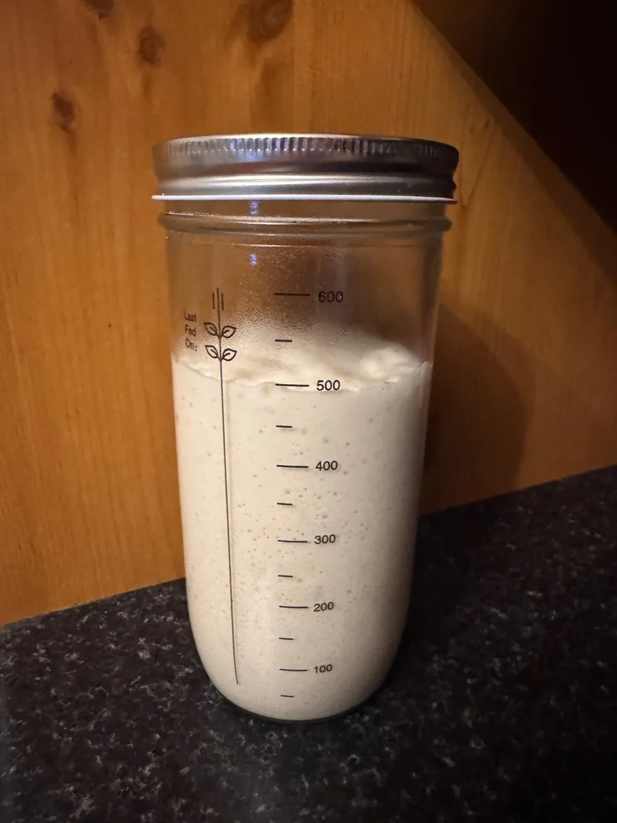 10-Year-Old Wheat Sourdough Starter - Image 1