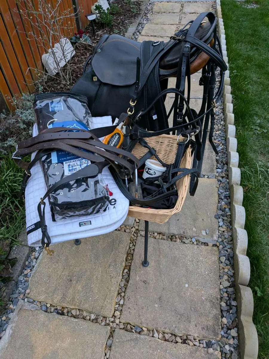 Equestrian complete horse riding set *reduced* - Image 1