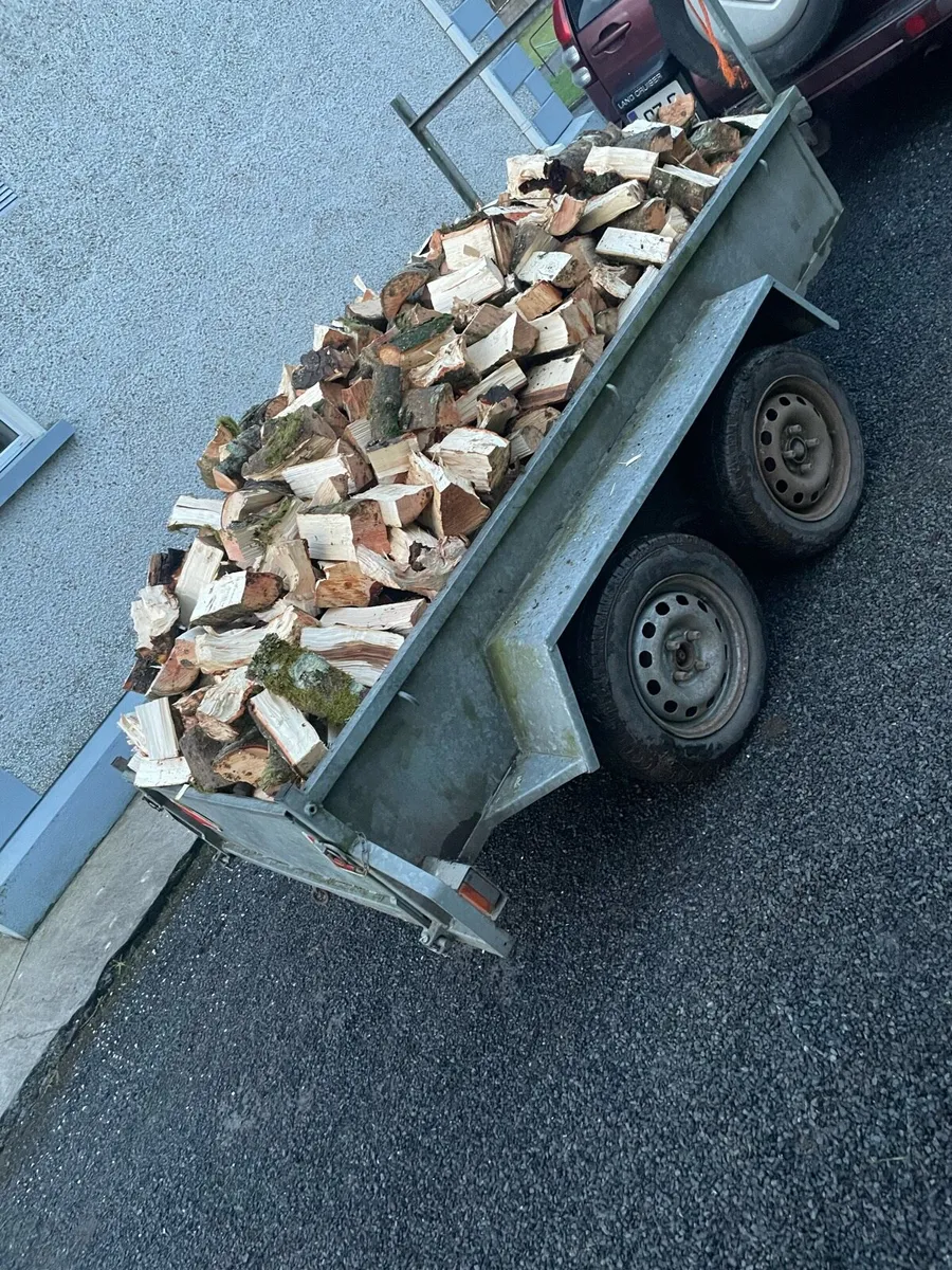 Firewood - Image 1