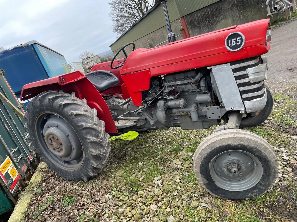 Massey Ferguson 165 - Image 1