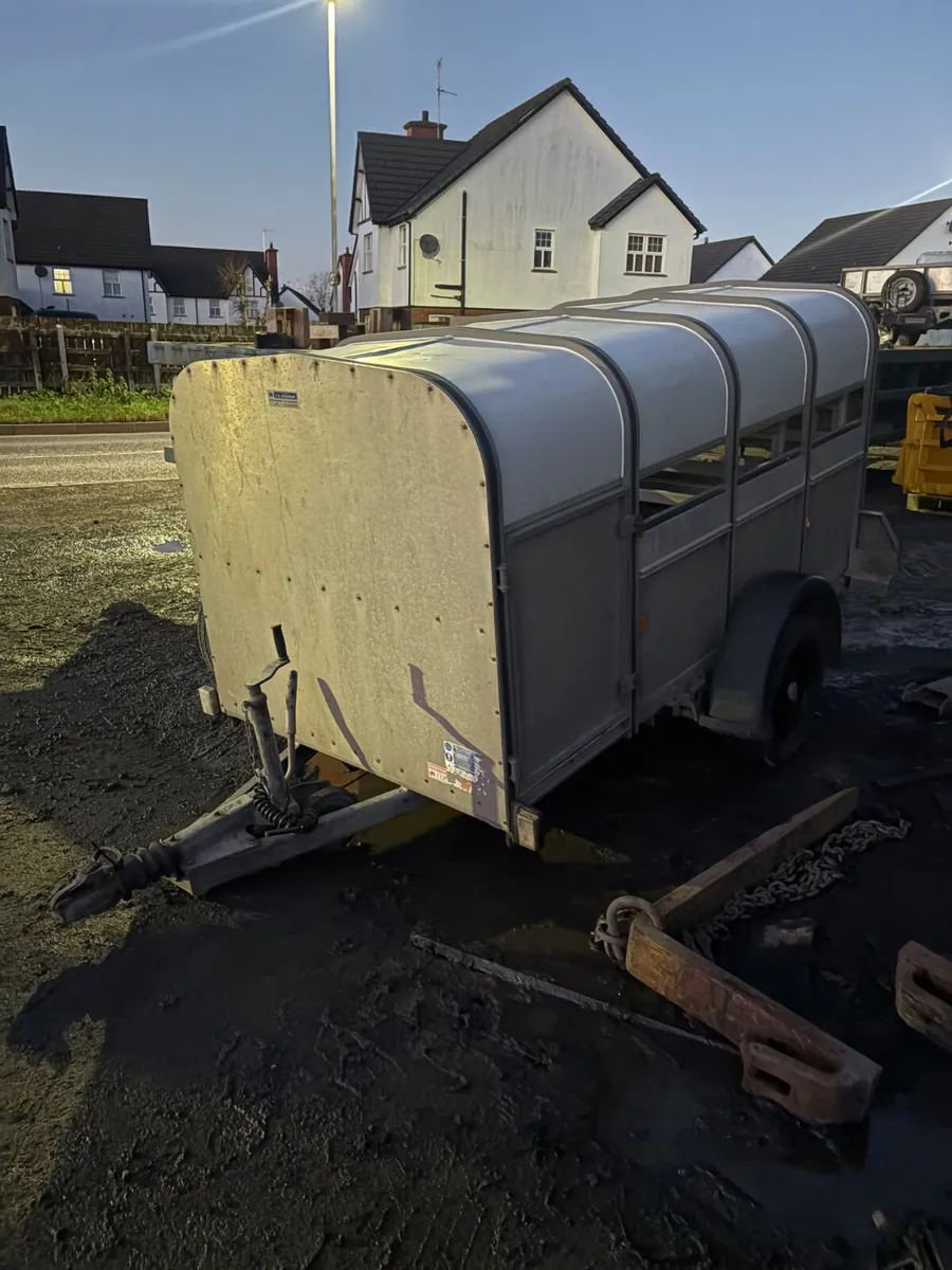 Ifor Williams 8ft sheep calf trailer - Image 1