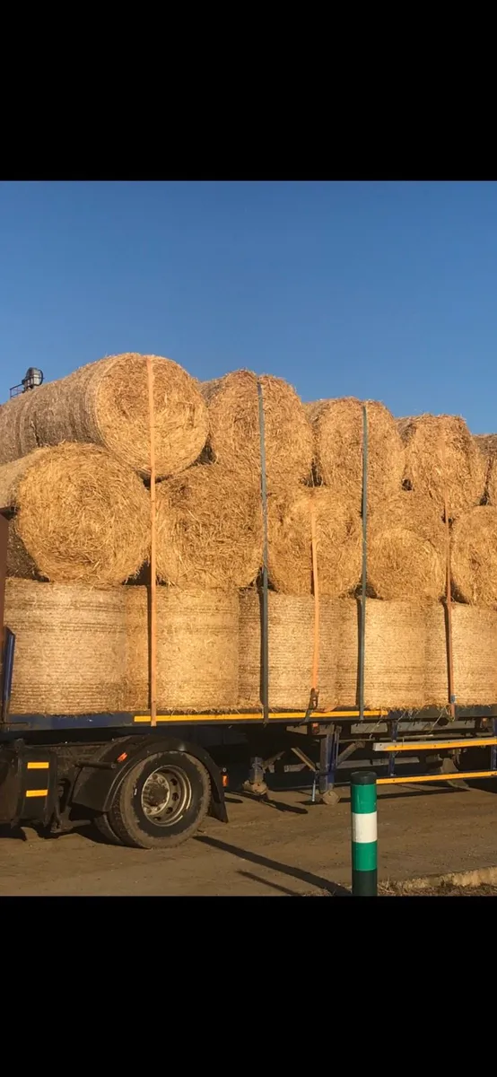 Golden Straw big square and round - Image 2