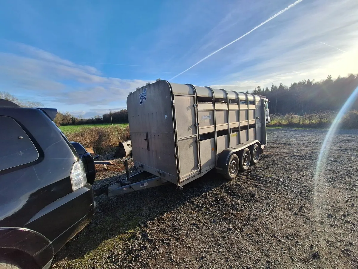 14x6 Ifor Williams cattle trailer - Image 2