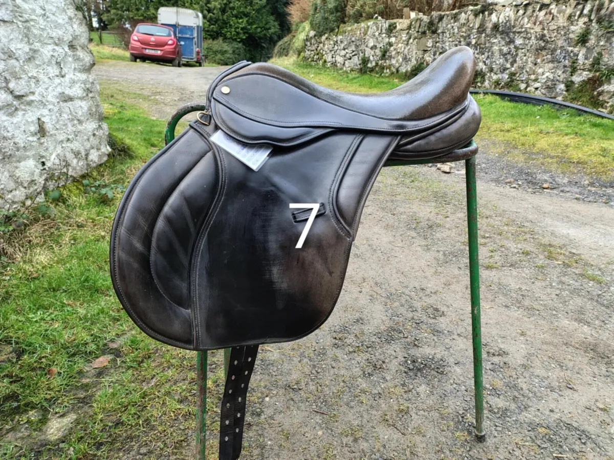 Saddle Clearance - Image 2