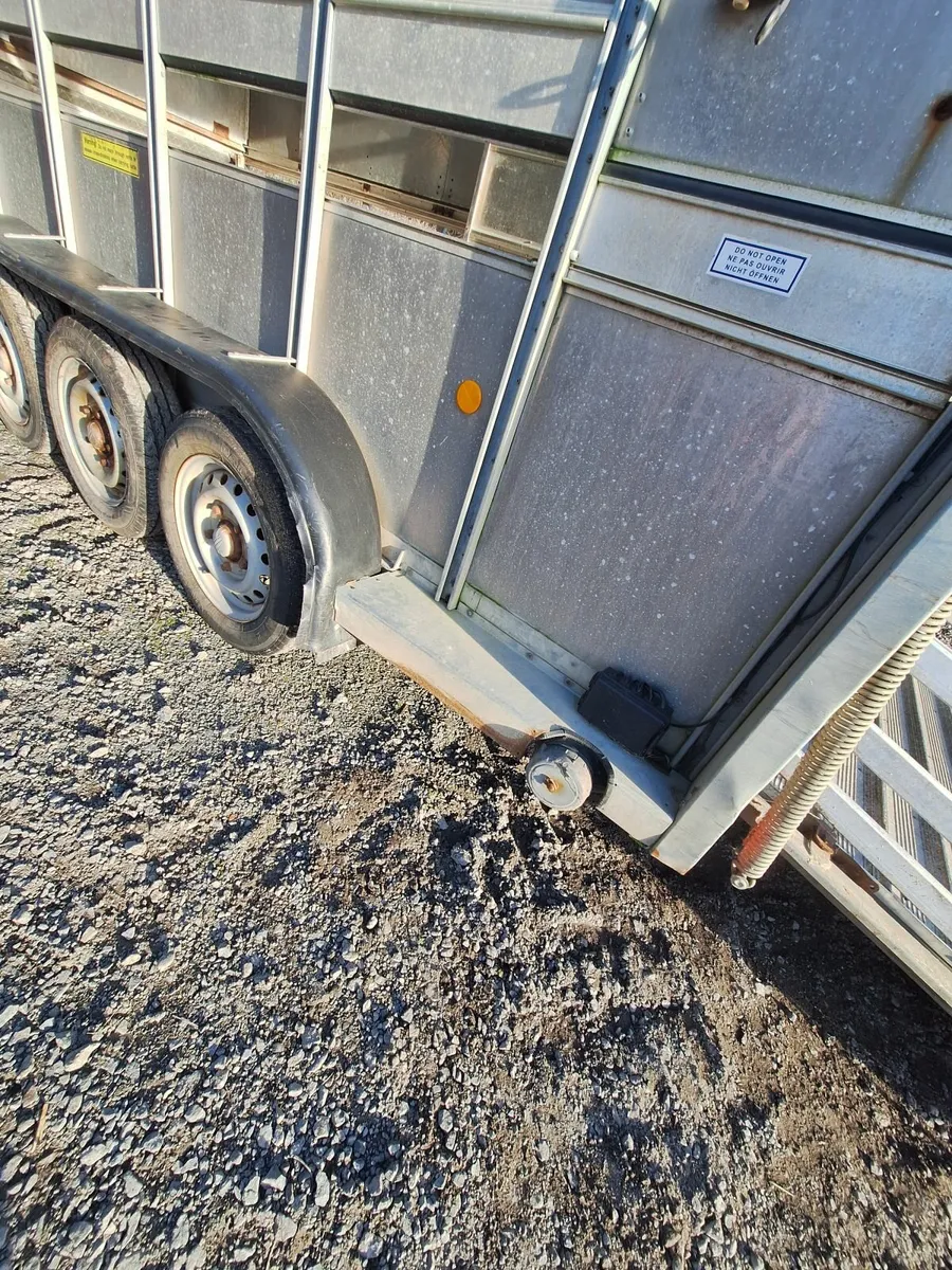 2018 14x6 Ifor Williams Cattle trailer - Image 4