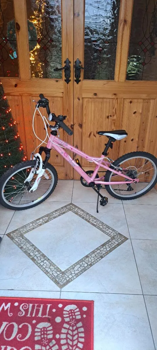 Bicycle - Image 1