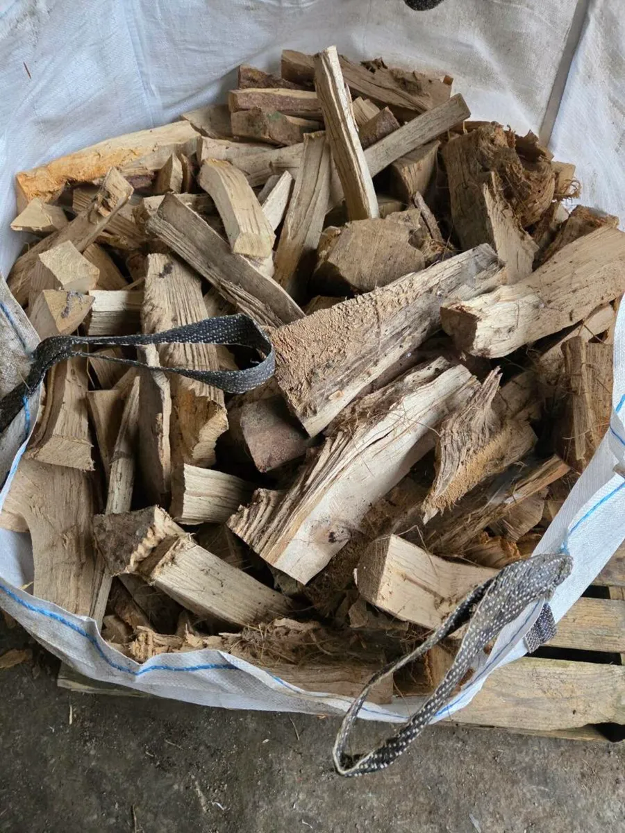 Nice dry firewood - Image 3