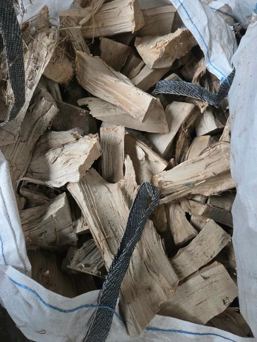 Nice dry firewood - Image 2
