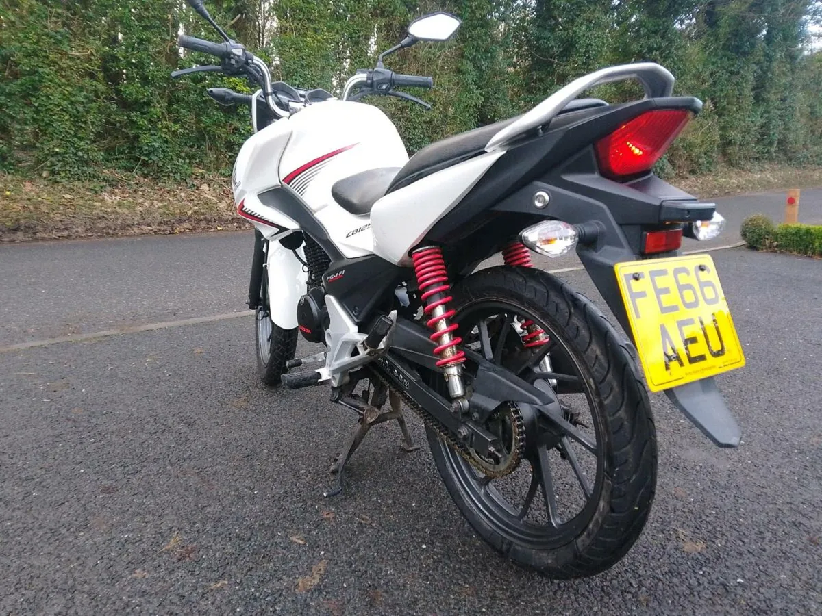 Honda 125 - Image 4