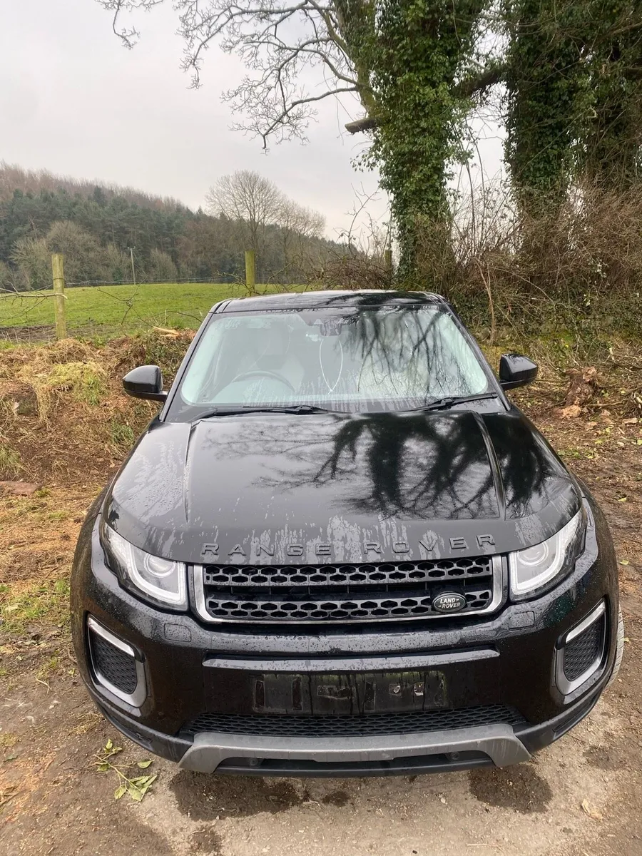 🟢2016 Land Rover EVOQUE ⚠️BREAKING FOR PARTS⚠️ - Image 2