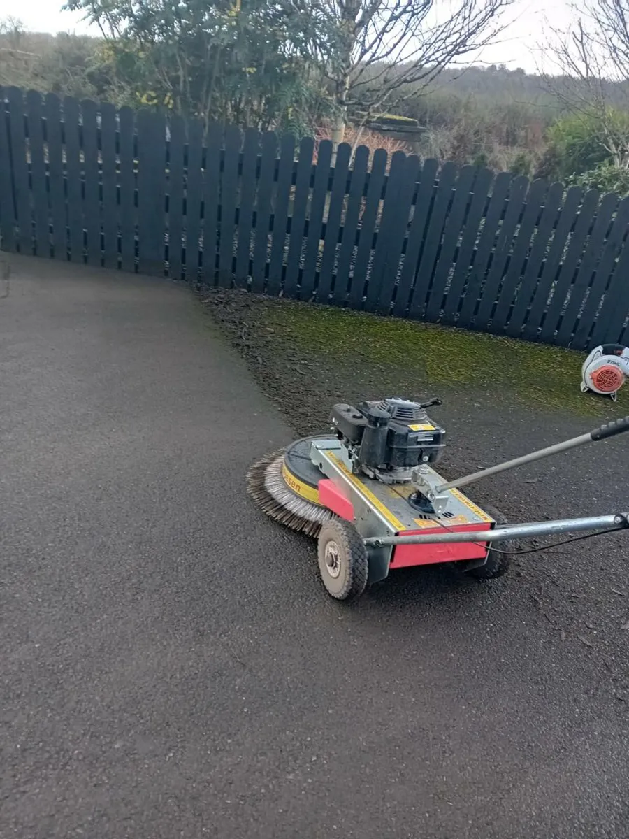 Moss removal services. - Image 1