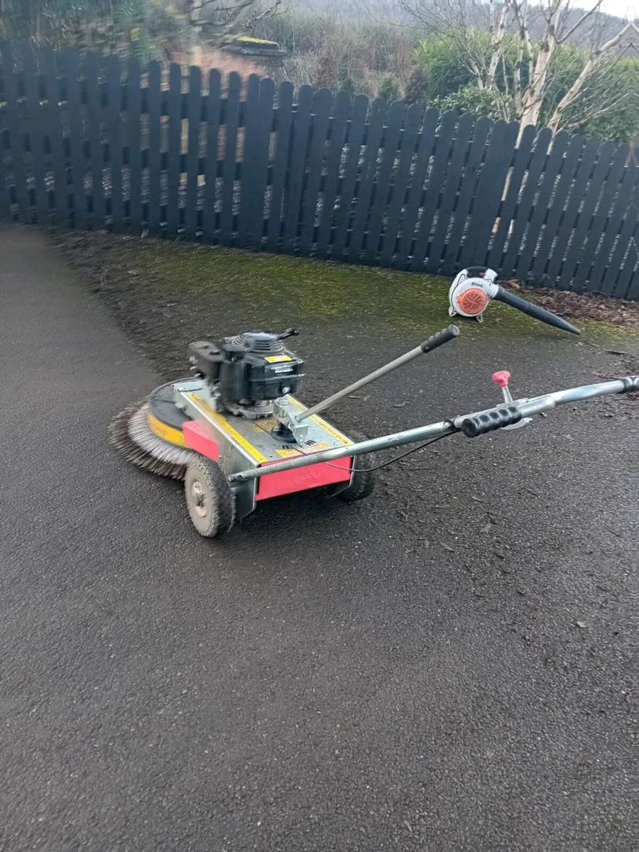 Moss removal services. - Image 4