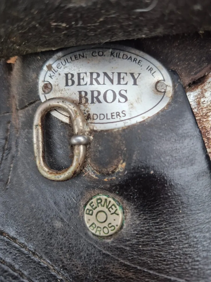 Saddle - Image 2