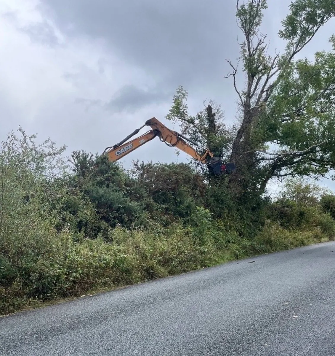 Tree Shearing & Groundworks - Image 3