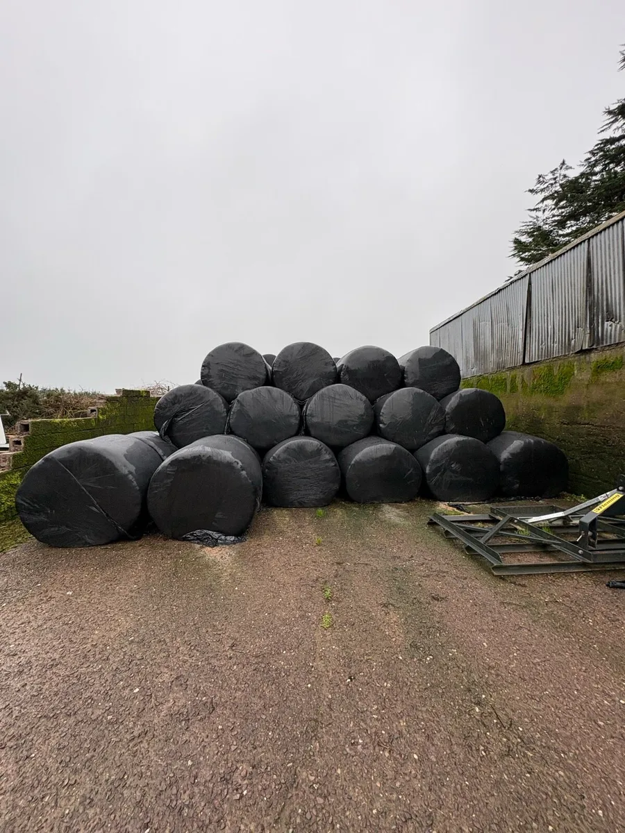 2025 Silage Bales - Image 2