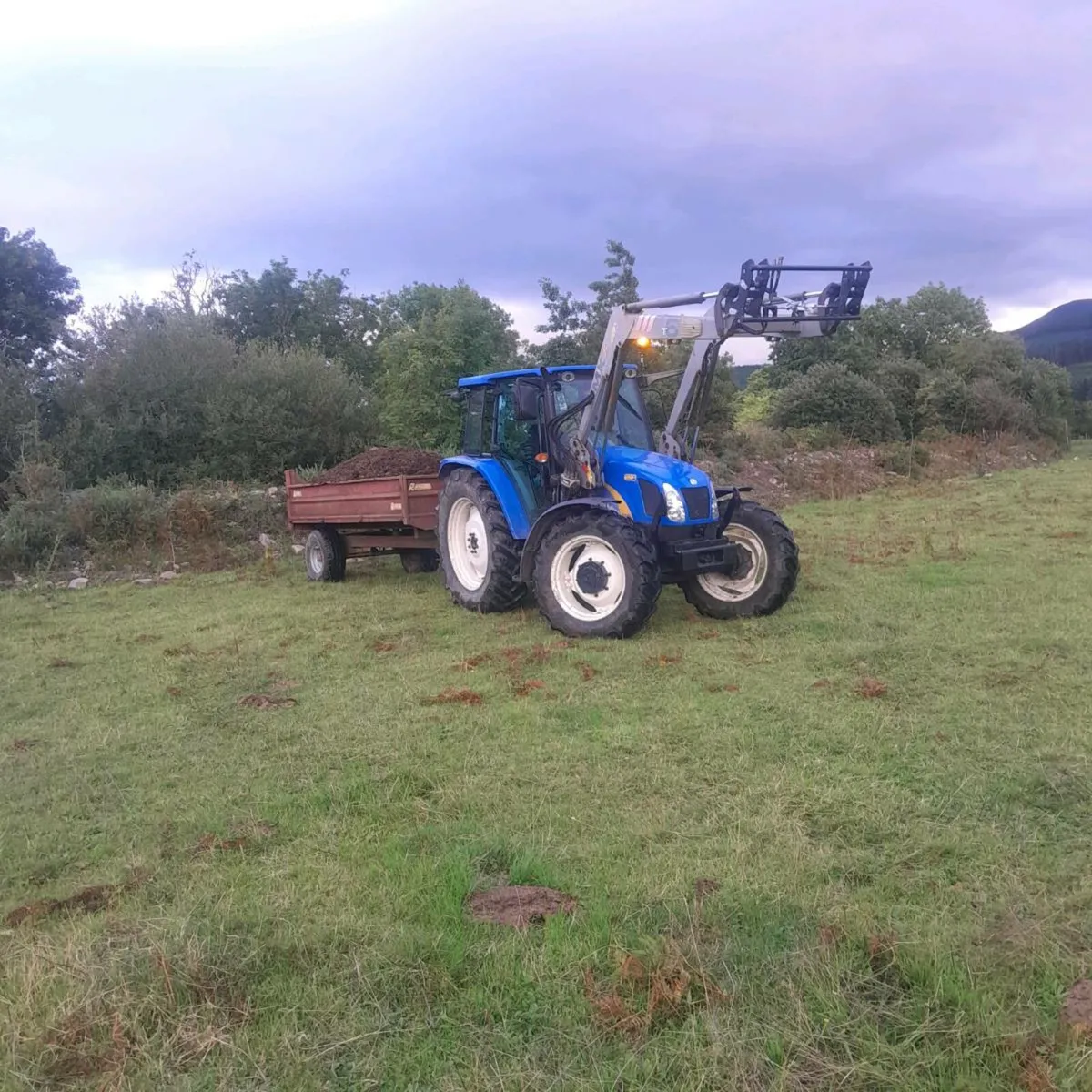 Mushroom compost - Image 2