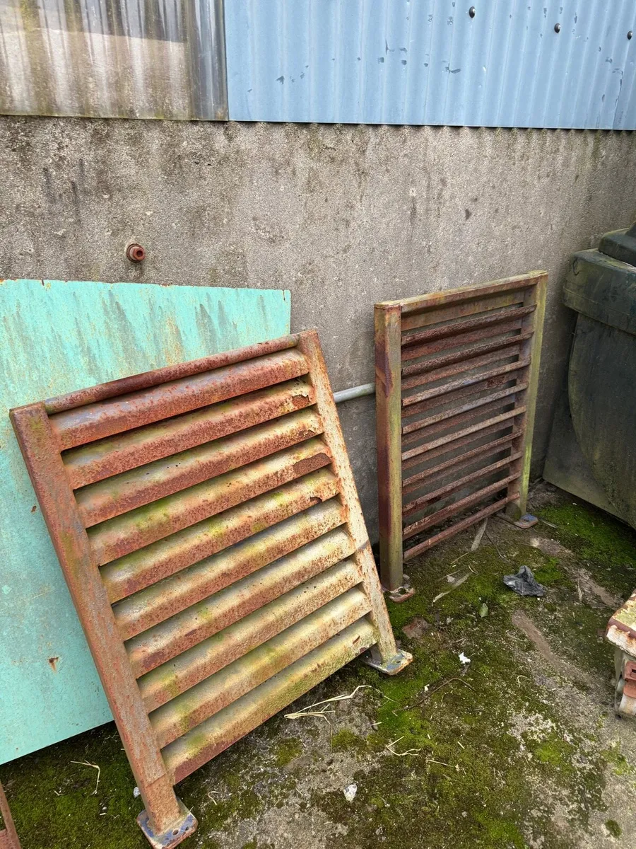 Yard clear out - Image 1