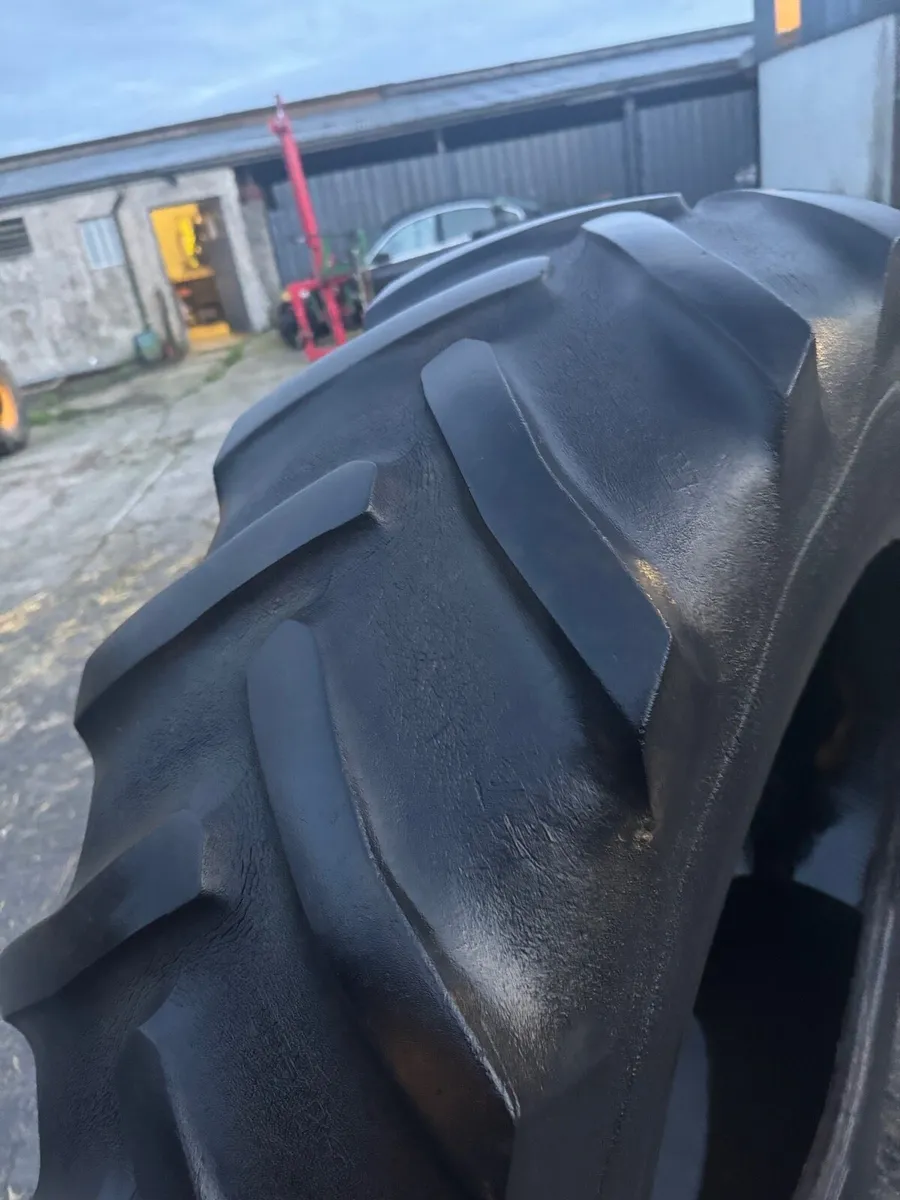 Yard clear out - Image 2