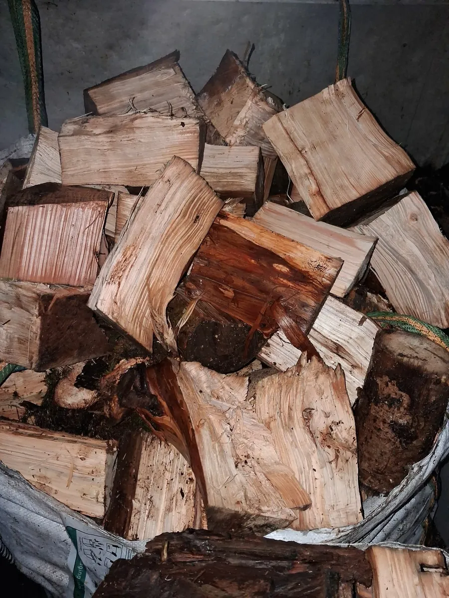 Tree surgeon - Image 3