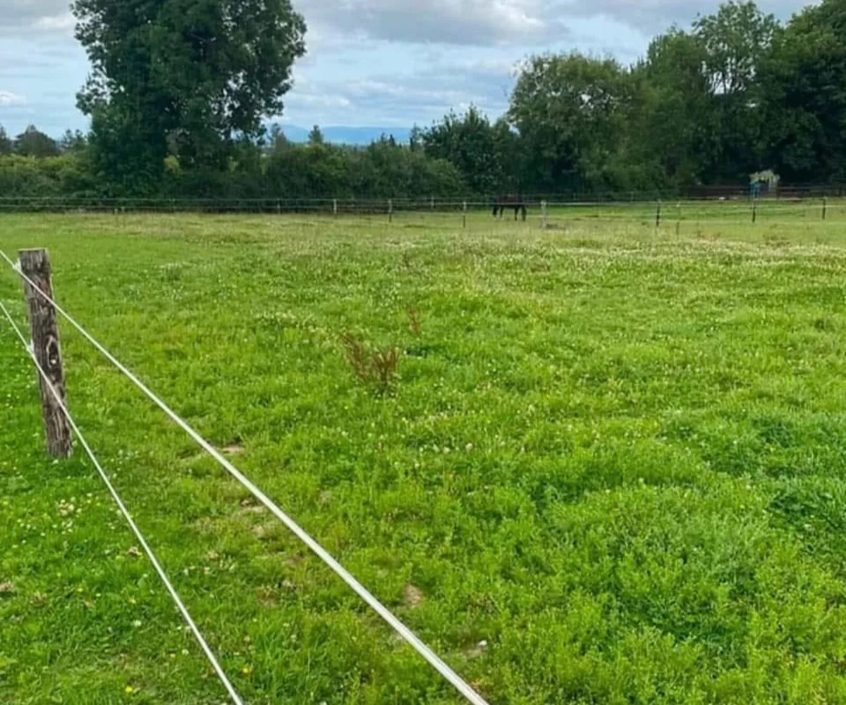 Accommodation /Stable Barn for rent - Image 2