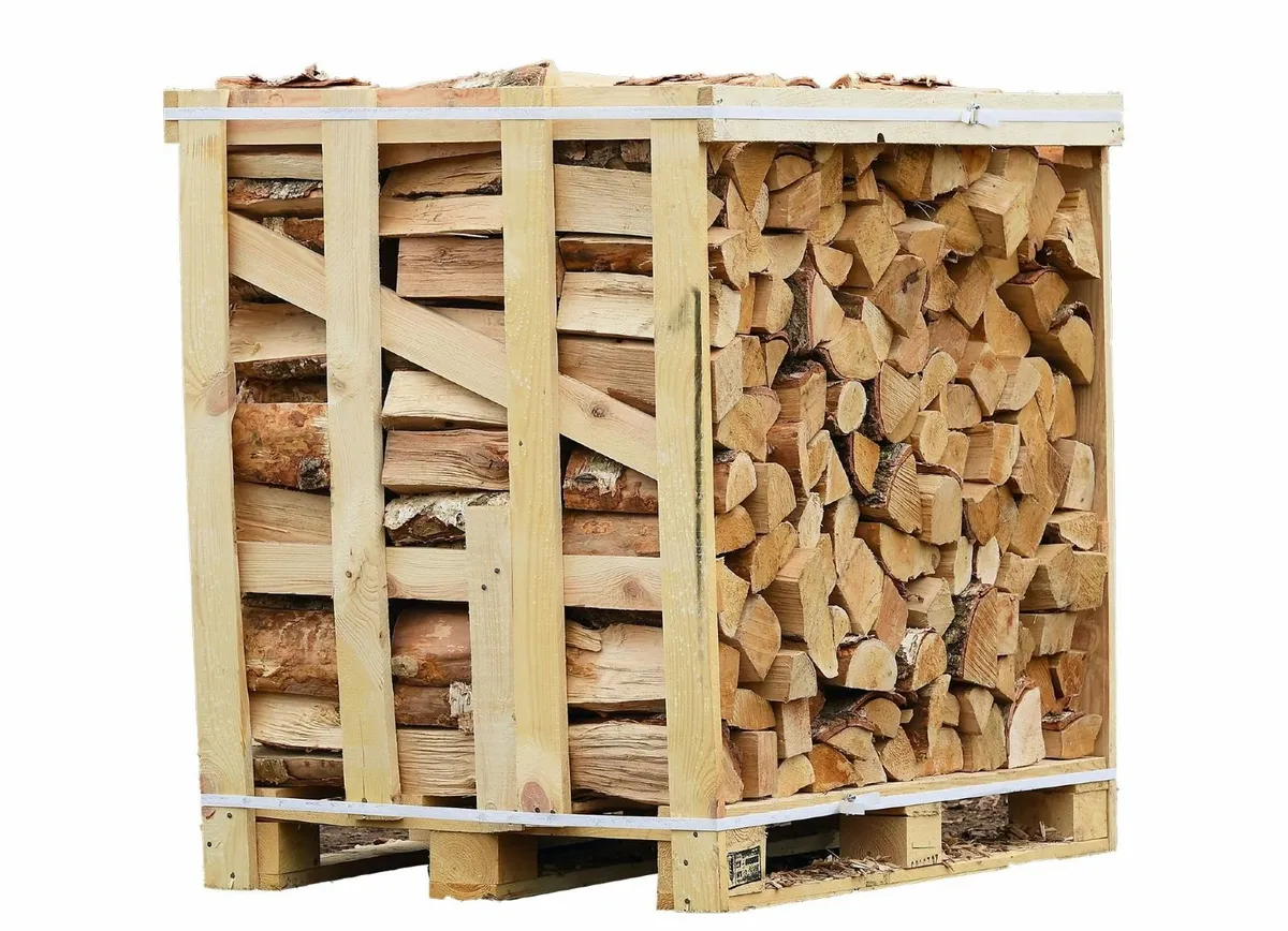 Firewood- 1 m3 kiln dried Birch firewood - Image 1