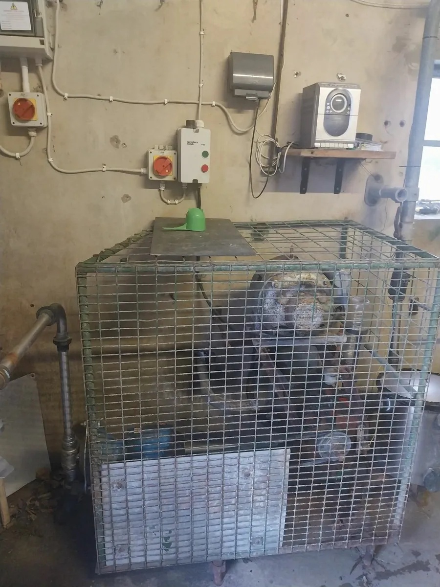 Milking Parlour - Image 4