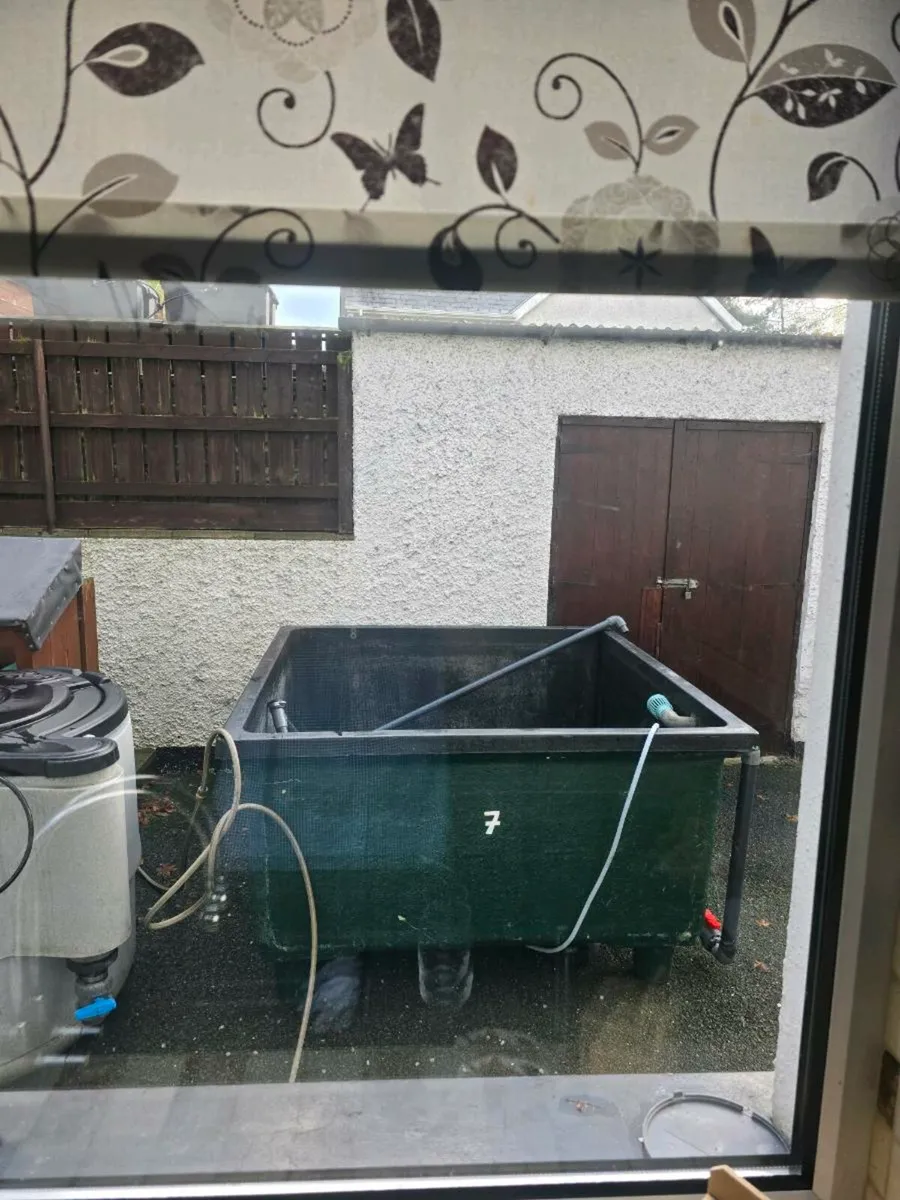 A lot of pond equipment for sale - Image 2