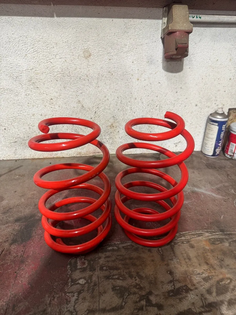 Yard clear out - Image 2