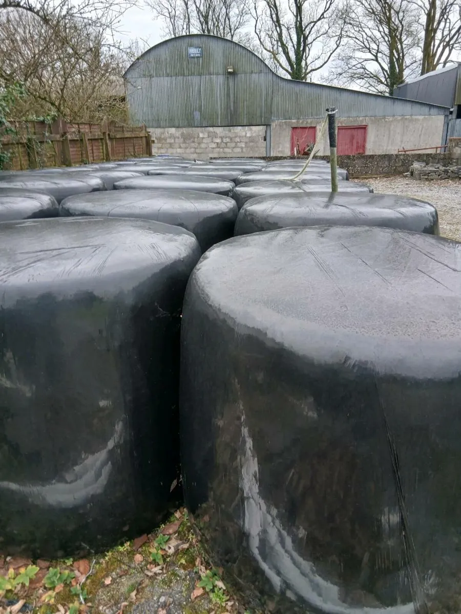 Haylage  and Silage  for sale - Image 1