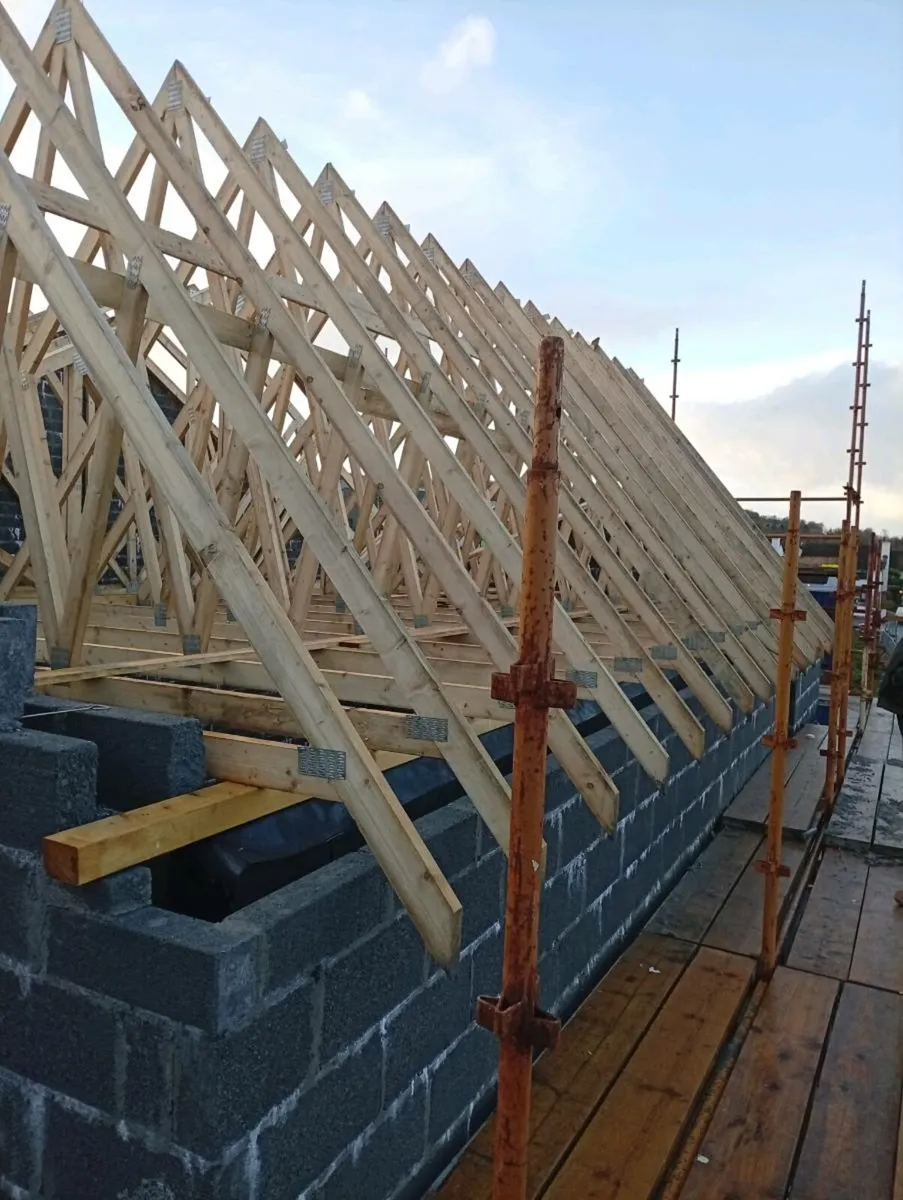 Carpenters - Image 4