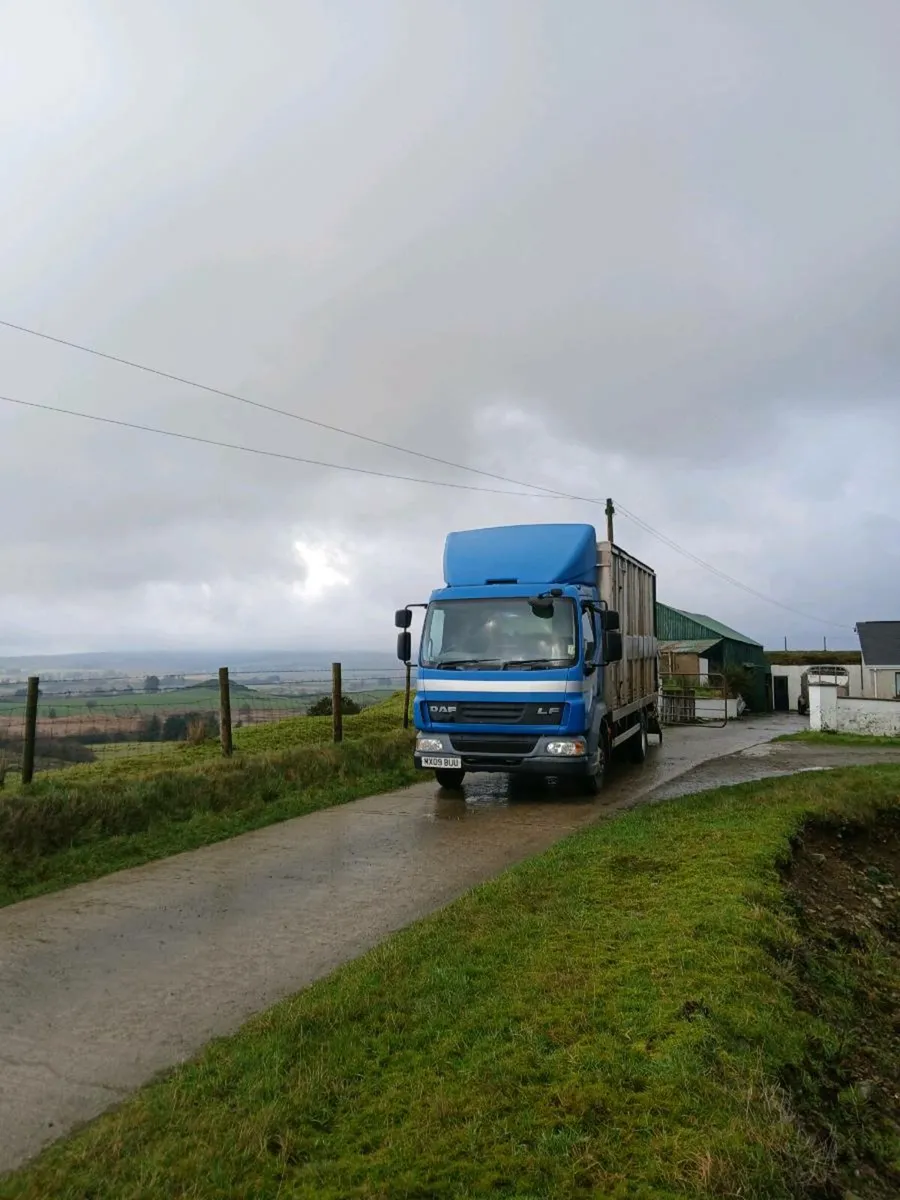 Livestock haulage - Image 1