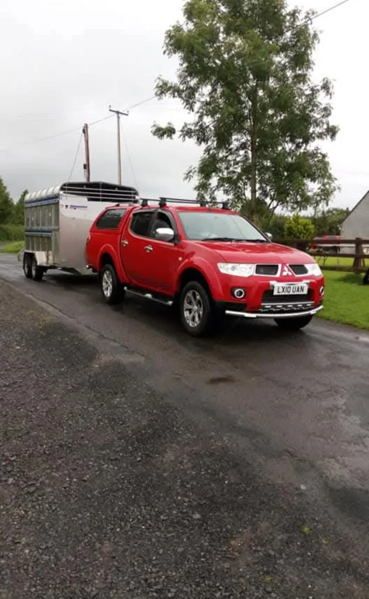 Livestock haulage - Image 2