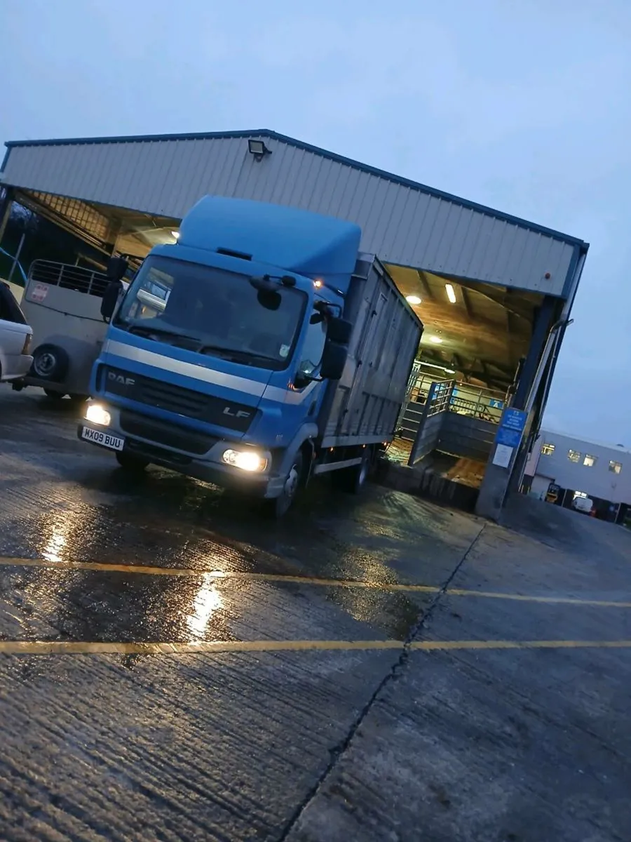 Livestock haulage - Image 3