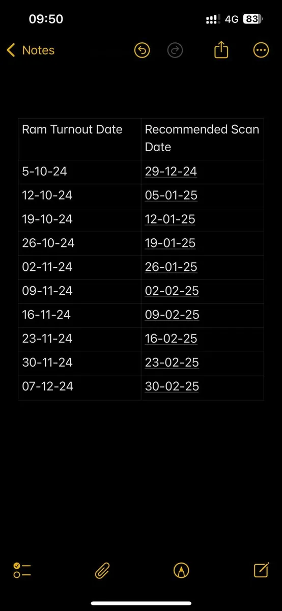 Sheep and cow scanning - Image 2